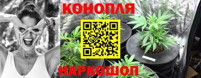 jwh Новозыбков