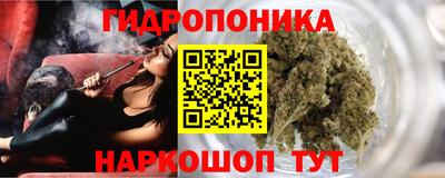 jwh Новозыбков