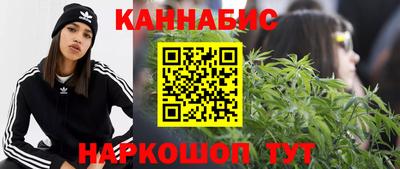 jwh Новозыбков