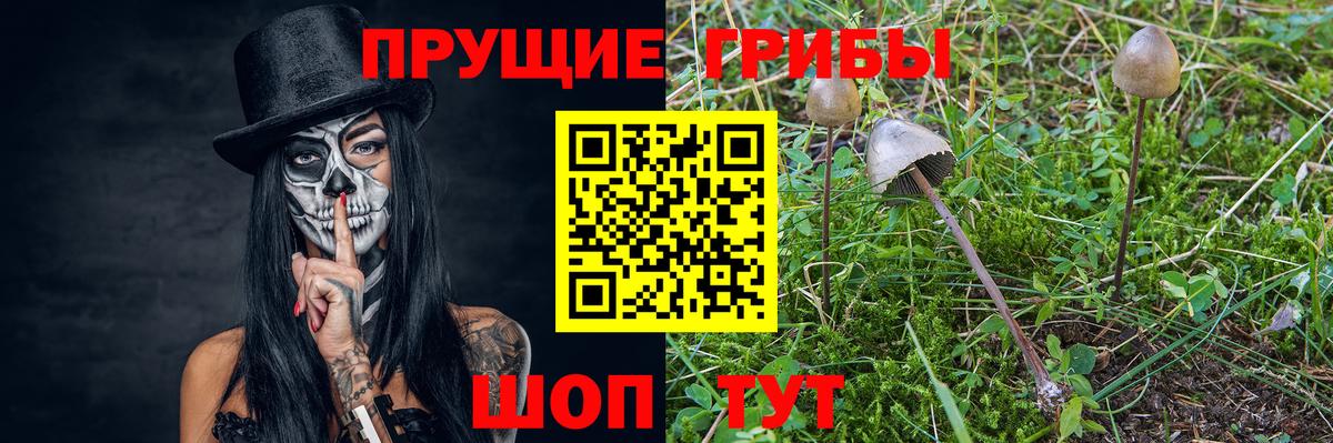 Туапсе  Псилоцибиновые грибы MAGIC MUSHROOMS  Вход с VPN 